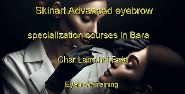Skinart Advanced eyebrow specialization courses in Bara Char Lamchhi Pata | EyebrowTraining | EyebrowClasses | SkinartTraining-Bangladesh