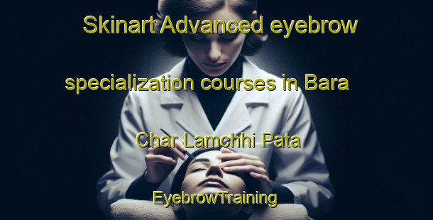 Skinart Advanced eyebrow specialization courses in Bara Char Lamchhi Pata | EyebrowTraining | EyebrowClasses | SkinartTraining-Bangladesh