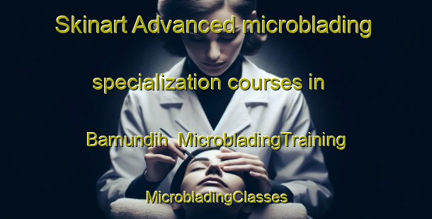 Skinart Advanced microblading specialization courses in Bamundih | #MicrobladingTraining #MicrobladingClasses #SkinartTraining-Bangladesh