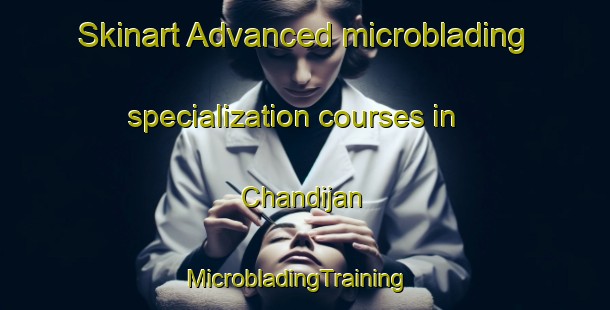 Skinart Advanced microblading specialization courses in Chandijan | MicrobladingTraining | MicrobladingClasses | SkinartTraining-Bangladesh