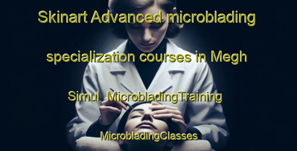 Skinart Advanced microblading specialization courses in Megh Simul | #MicrobladingTraining #MicrobladingClasses #SkinartTraining-Bangladesh