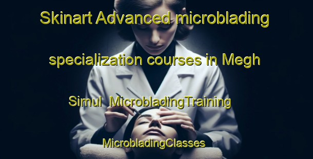 Skinart Advanced microblading specialization courses in Megh Simul | MicrobladingTraining | MicrobladingClasses | SkinartTraining-Bangladesh