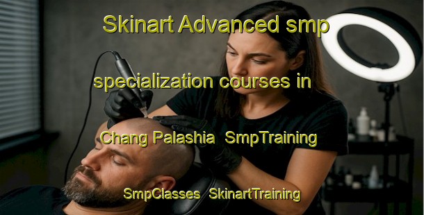 Skinart Advanced smp specialization courses in Chang Palashia | SmpTraining | SmpClasses | SkinartTraining-Bangladesh