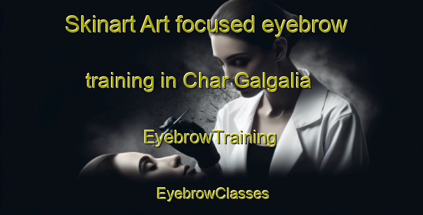 Skinart Art-focused eyebrow training in Char Galgalia | EyebrowTraining | EyebrowClasses | SkinartTraining-Bangladesh
