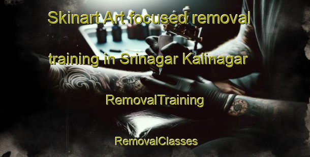 Skinart Art-focused removal training in Srinagar Kalinagar | RemovalTraining | RemovalClasses | SkinartTraining-Bangladesh