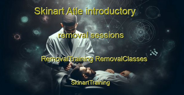 Skinart Atle introductory removal sessions | #RemovalTraining #RemovalClasses #SkinartTraining-Bangladesh