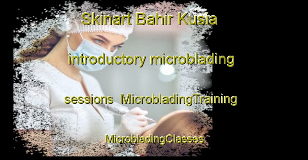 Skinart Bahir Kusia introductory microblading sessions | #MicrobladingTraining #MicrobladingClasses #SkinartTraining-Bangladesh