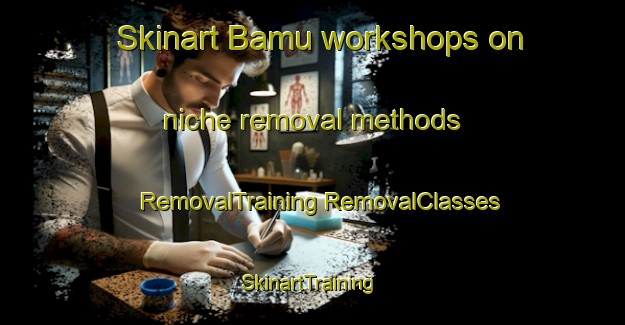 Skinart Bamu workshops on niche removal methods | #RemovalTraining #RemovalClasses #SkinartTraining-Bangladesh