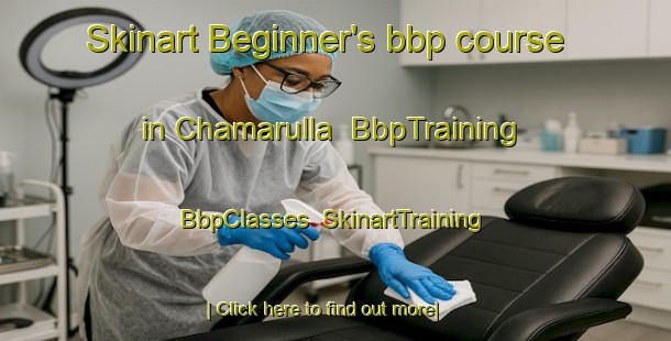 Skinart Beginner's bbp course in Chamarulla | BbpTraining | BbpClasses | SkinartTraining-Bangladesh