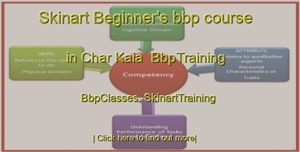 Skinart Beginner's bbp course in Char Kaia | BbpTraining | BbpClasses | SkinartTraining-Bangladesh