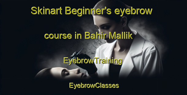 Skinart Beginner's eyebrow course in Bahir Mallik | EyebrowTraining | EyebrowClasses | SkinartTraining-Bangladesh