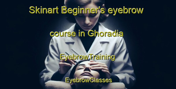 Skinart Beginner's eyebrow course in Ghoradia | EyebrowTraining | EyebrowClasses | SkinartTraining-Bangladesh