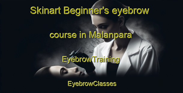Skinart Beginner's eyebrow course in Malanpara | EyebrowTraining | EyebrowClasses | SkinartTraining-Bangladesh