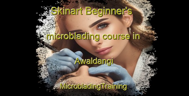 Skinart Beginner's microblading course in Awaldangi | #MicrobladingTraining #MicrobladingClasses #SkinartTraining-Bangladesh