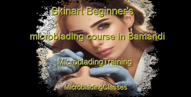 Skinart Beginner's microblading course in Bamandi | #MicrobladingTraining #MicrobladingClasses #SkinartTraining-Bangladesh