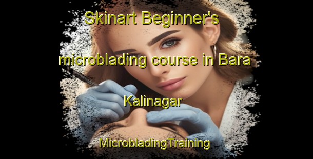 Skinart Beginner's microblading course in Bara Kalinagar | #MicrobladingTraining #MicrobladingClasses #SkinartTraining-Bangladesh