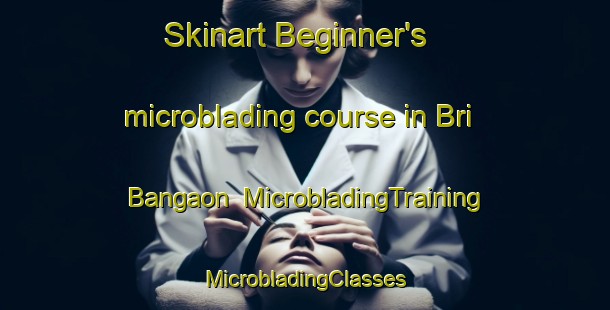 Skinart Beginner's microblading course in Bri Bangaon | #MicrobladingTraining #MicrobladingClasses #SkinartTraining-Bangladesh