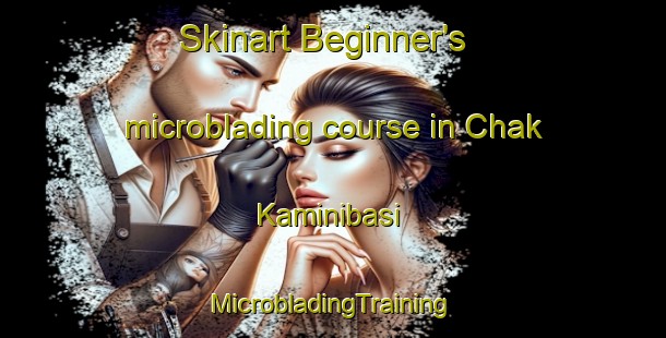 Skinart Beginner's microblading course in Chak Kaminibasi | #MicrobladingTraining #MicrobladingClasses #SkinartTraining-Bangladesh