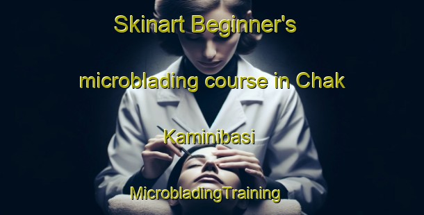 Skinart Beginner's microblading course in Chak Kaminibasi | MicrobladingTraining | MicrobladingClasses | SkinartTraining-Bangladesh