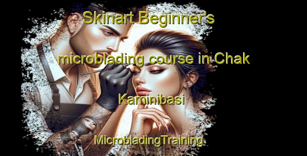 Skinart Beginner's microblading course in Chak Kaminibasi | MicrobladingTraining | MicrobladingClasses | SkinartTraining-Bangladesh