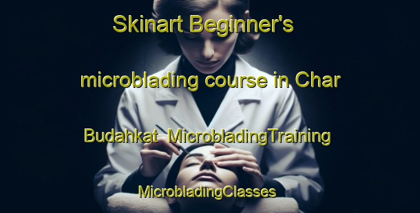 Skinart Beginner's microblading course in Char Budahkat | MicrobladingTraining | MicrobladingClasses | SkinartTraining-Bangladesh
