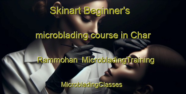 Skinart Beginner's microblading course in Char Rammohan | MicrobladingTraining | MicrobladingClasses | SkinartTraining-Bangladesh