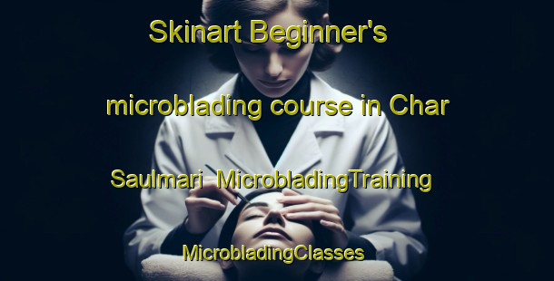 Skinart Beginner's microblading course in Char Saulmari | MicrobladingTraining | MicrobladingClasses | SkinartTraining-Bangladesh