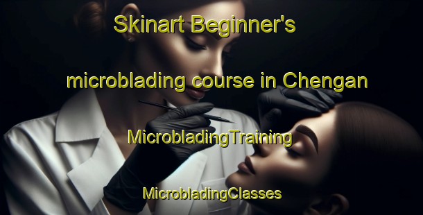 Skinart Beginner's microblading course in Chengan | #MicrobladingTraining #MicrobladingClasses #SkinartTraining-Bangladesh