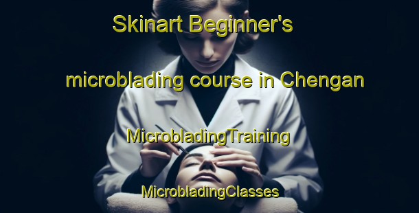 Skinart Beginner's microblading course in Chengan | #MicrobladingTraining #MicrobladingClasses #SkinartTraining-Bangladesh