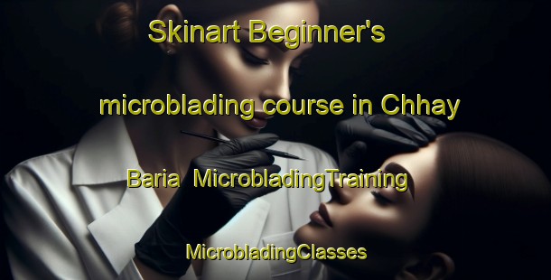 Skinart Beginner's microblading course in Chhay Baria | #MicrobladingTraining #MicrobladingClasses #SkinartTraining-Bangladesh