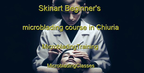 Skinart Beginner's microblading course in Chiuria | MicrobladingTraining | MicrobladingClasses | SkinartTraining-Bangladesh