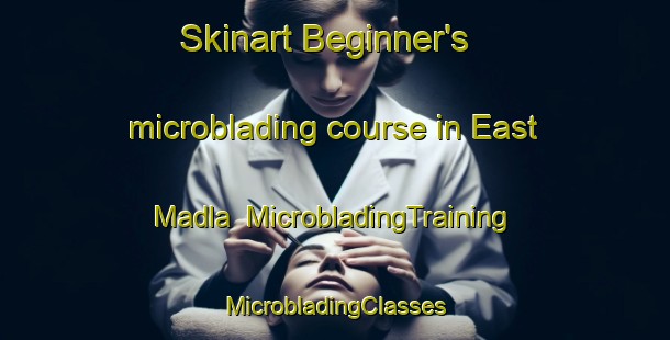 Skinart Beginner's microblading course in East Madla | #MicrobladingTraining #MicrobladingClasses #SkinartTraining-Bangladesh