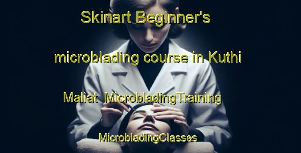 Skinart Beginner's microblading course in Kuthi Maliat | MicrobladingTraining | MicrobladingClasses | SkinartTraining-Bangladesh