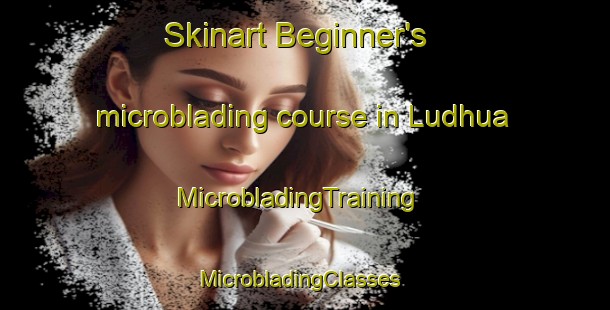 Skinart Beginner's microblading course in Ludhua | MicrobladingTraining | MicrobladingClasses | SkinartTraining-Bangladesh