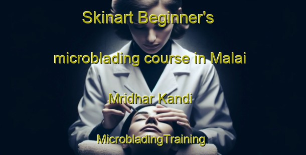 Skinart Beginner's microblading course in Malai Mridhar Kandi | #MicrobladingTraining #MicrobladingClasses #SkinartTraining-Bangladesh