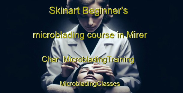Skinart Beginner's microblading course in Mirer Char | MicrobladingTraining | MicrobladingClasses | SkinartTraining-Bangladesh