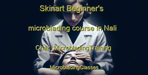 Skinart Beginner's microblading course in Nali Chak | #MicrobladingTraining #MicrobladingClasses #SkinartTraining-Bangladesh