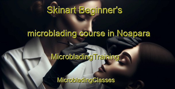 Skinart Beginner's microblading course in Noapara | MicrobladingTraining | MicrobladingClasses | SkinartTraining-Bangladesh