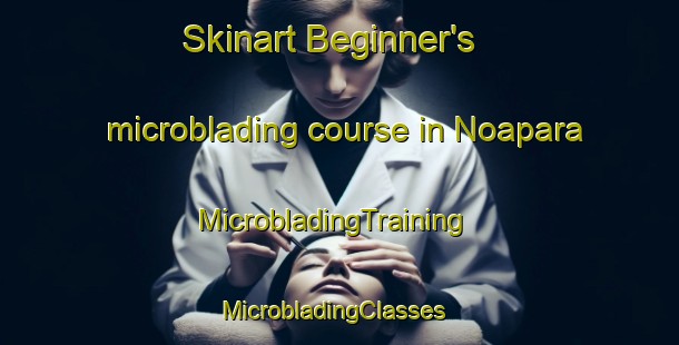Skinart Beginner's microblading course in Noapara | MicrobladingTraining | MicrobladingClasses | SkinartTraining-Bangladesh