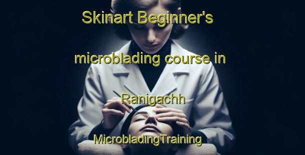 Skinart Beginner's microblading course in Ranigachh | MicrobladingTraining | MicrobladingClasses | SkinartTraining-Bangladesh