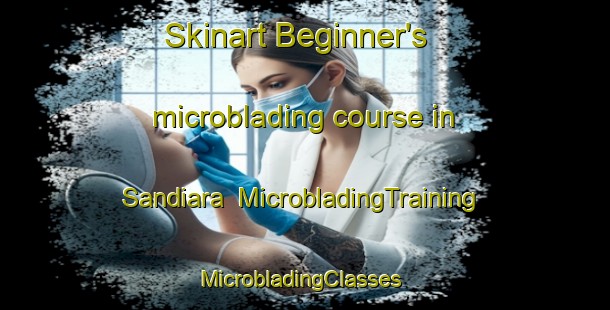 Skinart Beginner's microblading course in Sandiara | MicrobladingTraining | MicrobladingClasses | SkinartTraining-Bangladesh