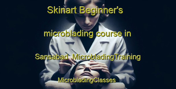 Skinart Beginner's microblading course in Sansabad | MicrobladingTraining | MicrobladingClasses | SkinartTraining-Bangladesh