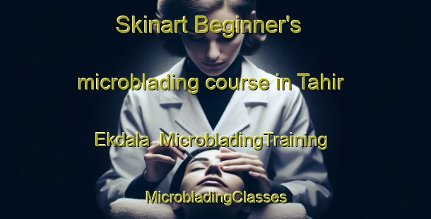 Skinart Beginner's microblading course in Tahir Ekdala | #MicrobladingTraining #MicrobladingClasses #SkinartTraining-Bangladesh