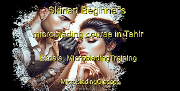 Skinart Beginner's microblading course in Tahir Ekdala | #MicrobladingTraining #MicrobladingClasses #SkinartTraining-Bangladesh