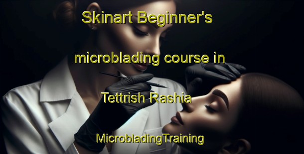 Skinart Beginner's microblading course in Tettrish Rashia | #MicrobladingTraining #MicrobladingClasses #SkinartTraining-Bangladesh