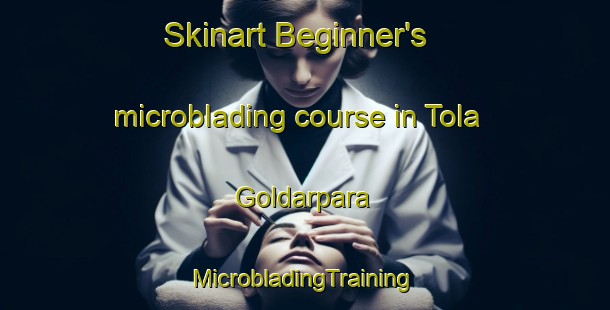 Skinart Beginner's microblading course in Tola Goldarpara | #MicrobladingTraining #MicrobladingClasses #SkinartTraining-Bangladesh