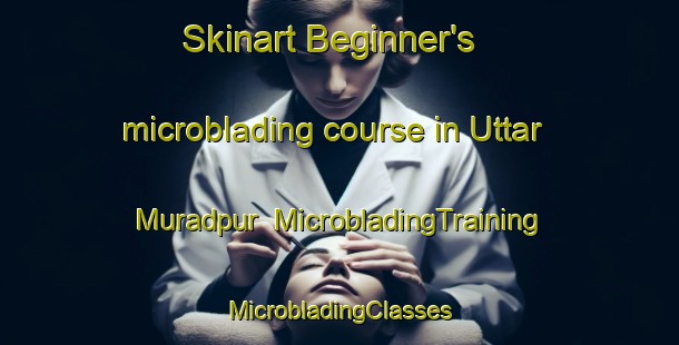 Skinart Beginner's microblading course in Uttar Muradpur | #MicrobladingTraining #MicrobladingClasses #SkinartTraining-Bangladesh