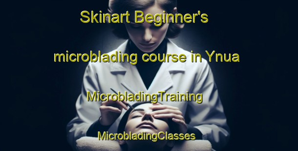 Skinart Beginner's microblading course in Ynua | MicrobladingTraining | MicrobladingClasses | SkinartTraining-Bangladesh