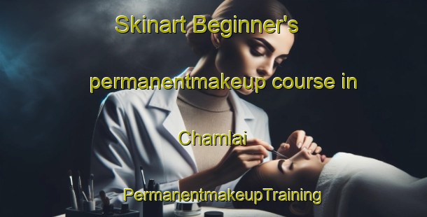 Skinart Beginner's permanentmakeup course in Chamlai | #PermanentmakeupTraining #PermanentmakeupClasses #SkinartTraining-Bangladesh