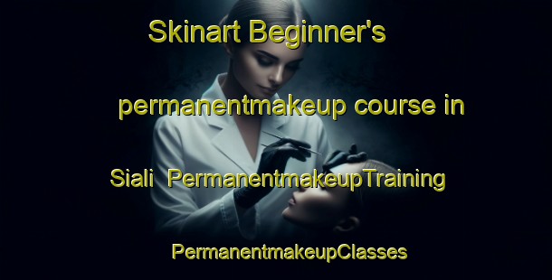 Skinart Beginner's permanentmakeup course in Siali | #PermanentmakeupTraining #PermanentmakeupClasses #SkinartTraining-Bangladesh